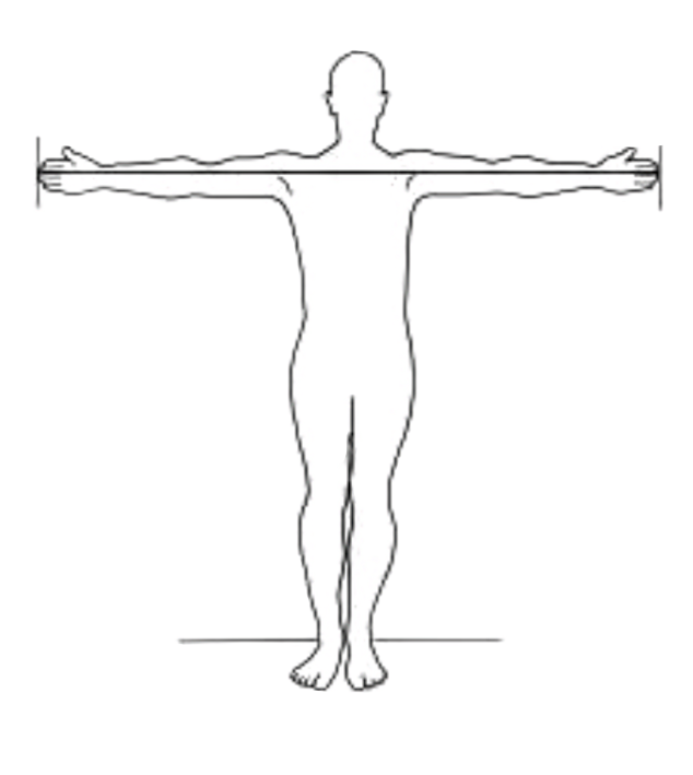 fig-semio-envergadura