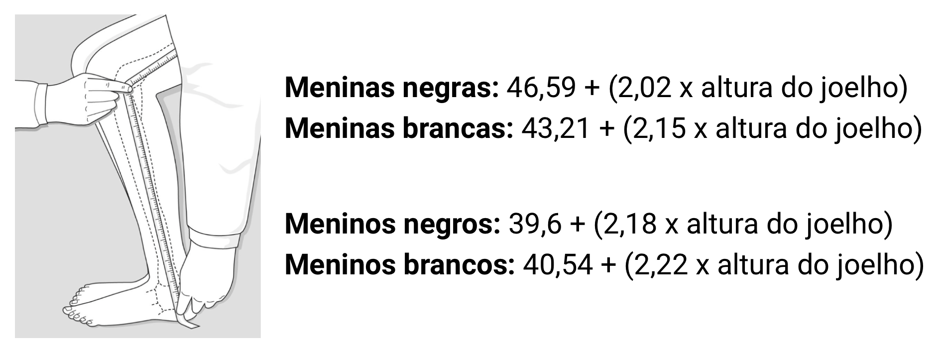 fig-semio-equacoes-estimativa-estatura