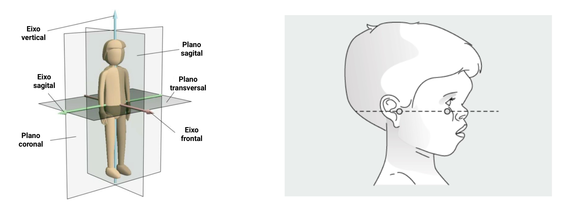 fig-semio-plano-frankfurt
