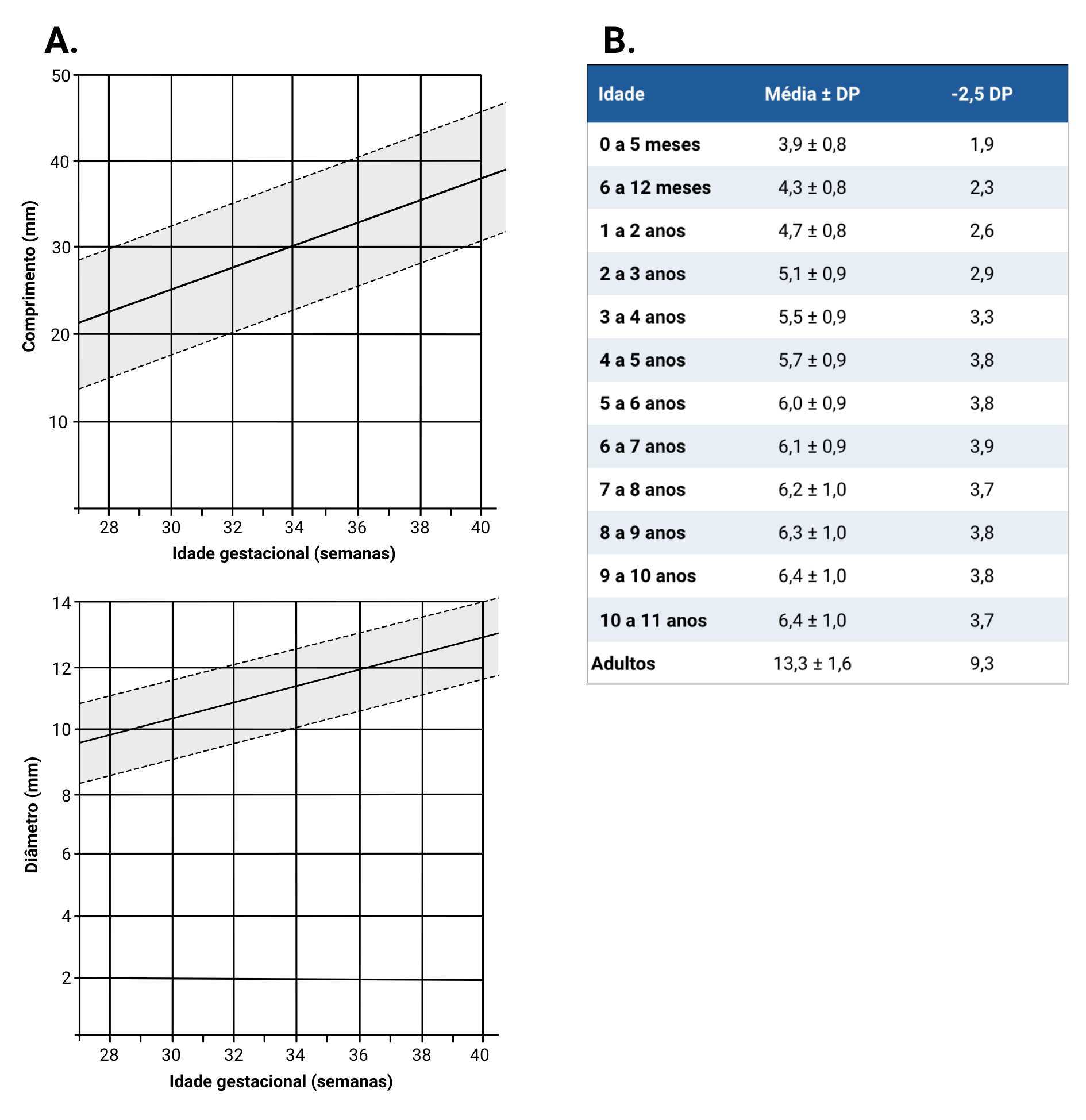 fig-semio-tamanho-penis